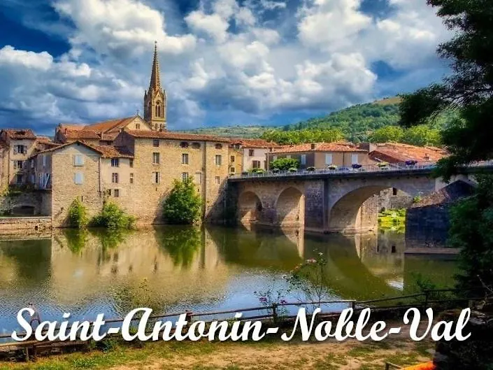 Vakantiehuis Charmant Gite De Lacrouzette Avec Piscine Saint-Benoit-de-Carmaux