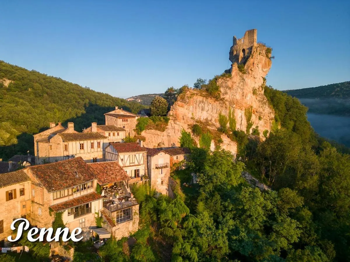 Vakantiehuis Charmant Gite De Lacrouzette Avec Piscine Saint-Benoit-de-Carmaux Frankrijk