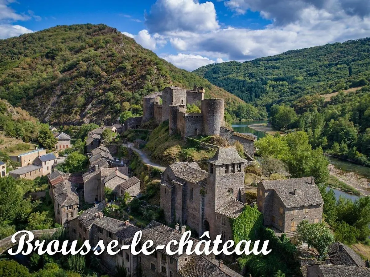 Charmant Gite De Lacrouzette Avec Piscine Saint-Benoit-de-Carmaux