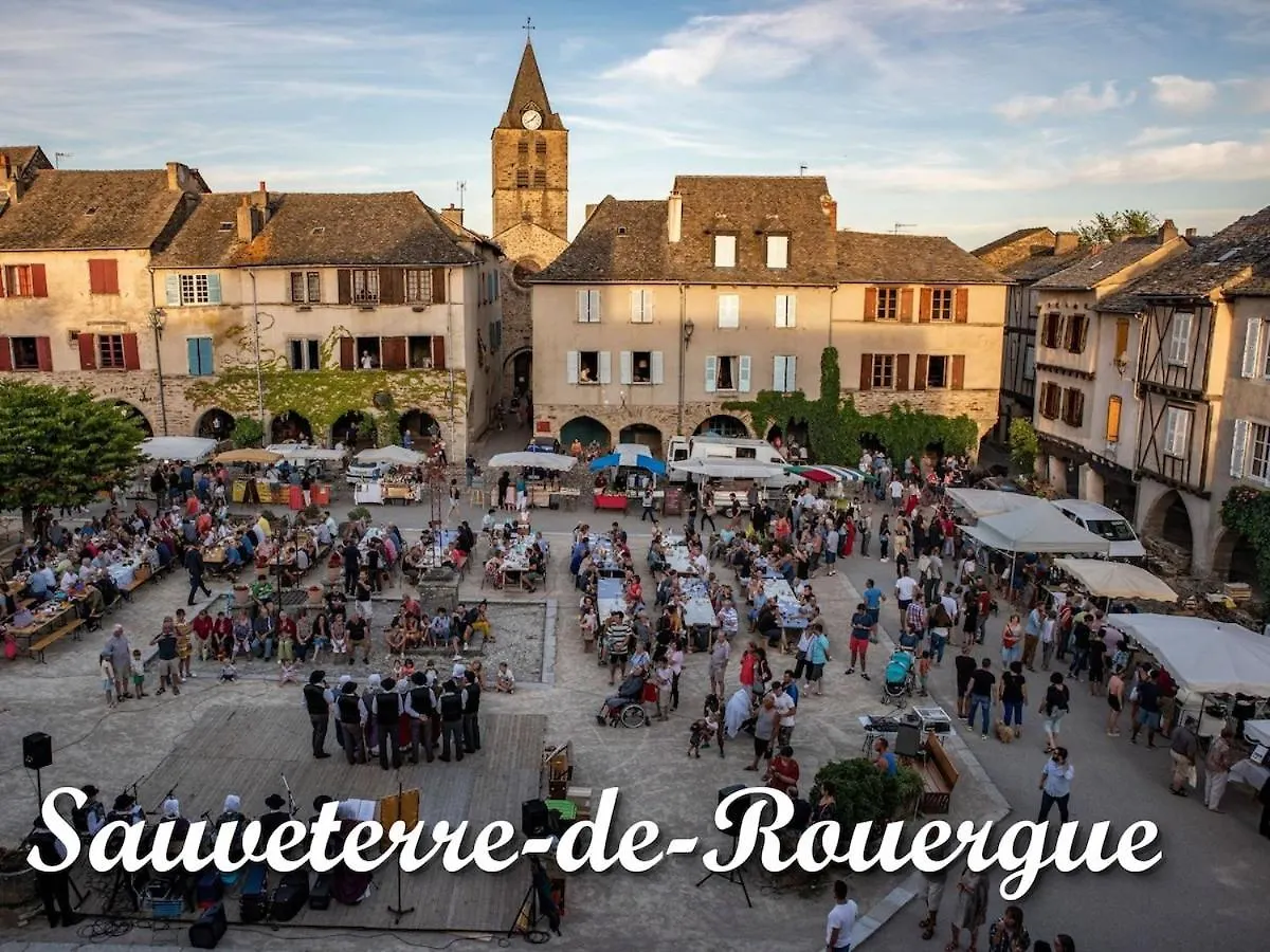 Charmant Gite De Lacrouzette Avec Piscine Saint-Benoit-de-Carmaux